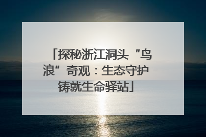 探秘浙江洞头“鸟浪”奇观：生态守护铸就生命驿站