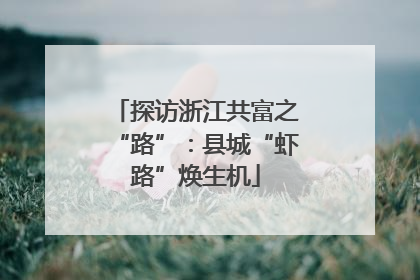 探访浙江共富之“路”：县城“虾路”焕生机