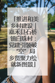 推进和美乡村建设｜嘉禾县石桥镇白珠村：党建引领破“空”局 乡贤聚力绘就新图景