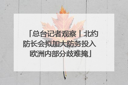 总台记者观察丨北约防长会拟加大防务投入 欧洲内部分歧难掩