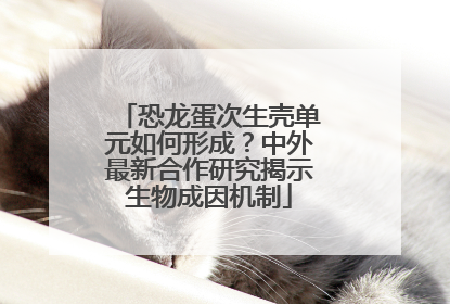 恐龙蛋次生壳单元如何形成？中外最新合作研究揭示生物成因机制