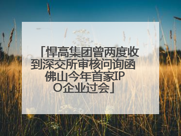 悍高集团曾两度收到深交所审核问询函 佛山今年首家IPO企业过会