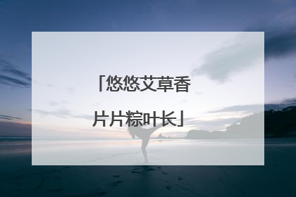 悠悠艾草香 片片粽叶长