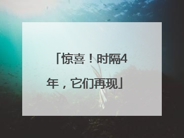 惊喜！时隔4年，它们再现