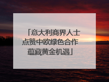 意大利商界人士点赞中欧绿色合作蕴藏黄金机遇