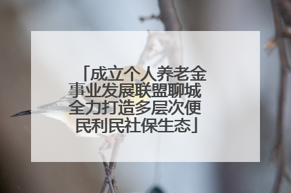 成立个人养老金事业发展联盟聊城全力打造多层次便民利民社保生态