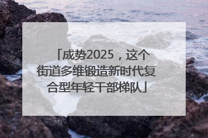 成势2025，这个街道多维锻造新时代复合型年轻干部梯队