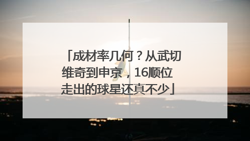 成材率几何？从武切维奇到申京，16顺位走出的球星还真不少