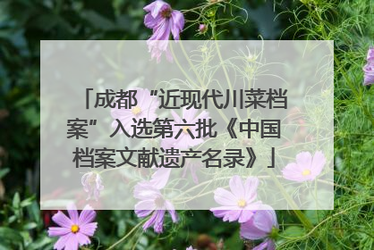 成都“近现代川菜档案”入选第六批《中国档案文献遗产名录》