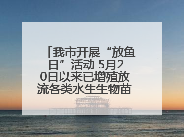 我市开展“放鱼日”活动 5月20日以来已增殖放流各类水生生物苗种5.1亿单位