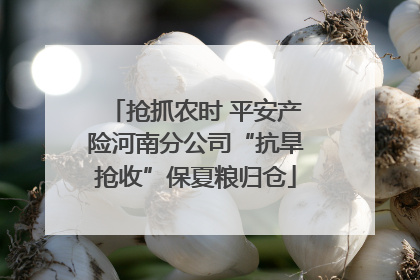 抢抓农时 平安产险河南分公司“抗旱抢收”保夏粮归仓
