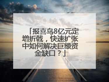报喜鸟8亿元定增折戟，快速扩张中如何解决巨额资金缺口？