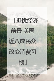 担忧经济前景 美国近八成民众改变消费习惯