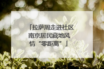 拉萨周走进社区 南京居民藏地风情“零距离”