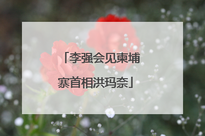 李强会见柬埔寨首相洪玛奈