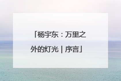 杨宇东：万里之外的灯光｜序言