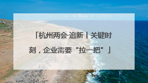 杭州两会·追新丨关键时刻，企业需要“拉一把”