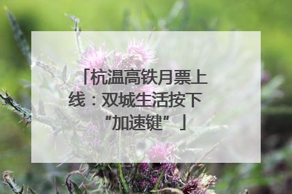 杭温高铁月票上线：双城生活按下“加速键”