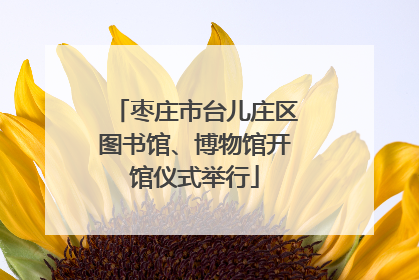 枣庄市台儿庄区图书馆、博物馆开馆仪式举行