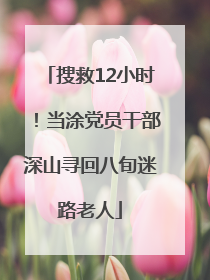 搜救12小时！当涂党员干部深山寻回八旬迷路老人