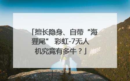 擅长隐身、自带“海狸尾” 彩虹-7无人机究竟有多牛？