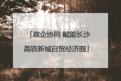 政企协同 赋能长沙高铁新城自贸经济圈