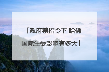 政府禁招令下 哈佛国际生受影响有多大