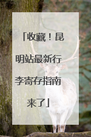 收藏！昆明站最新行李寄存指南来了
