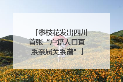 攀枝花发出四川首张“户籍人口直系亲属关系谱”