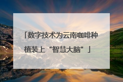 数字技术为云南咖啡种植装上“智慧大脑”