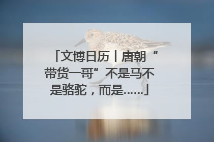 文博日历丨唐朝“带货一哥”不是马不是骆驼，而是……