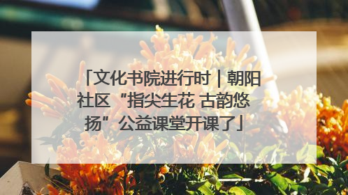 文化书院进行时｜朝阳社区“指尖生花 古韵悠扬”公益课堂开课了