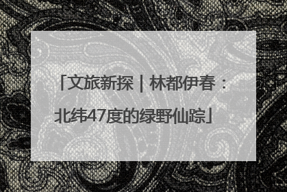 文旅新探｜林都伊春：北纬47度的绿野仙踪