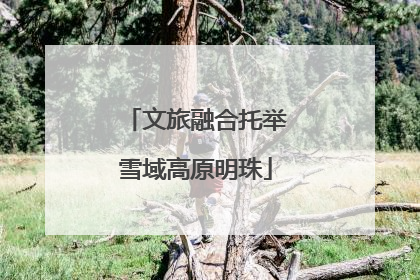 文旅融合托举雪域高原明珠