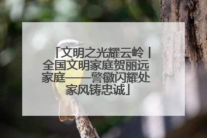 文明之光耀云岭丨全国文明家庭贺丽远家庭——警徽闪耀处 家风铸忠诚