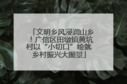文明乡风浸润山乡！广信区田墩镇黄坑村以“小切口”绘就乡村振兴大图景