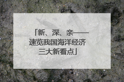新、深、亲——速览我国海洋经济三大新看点