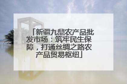 新疆九鼎农产品批发市场：筑牢民生保障，打通丝绸之路农产品贸易枢纽