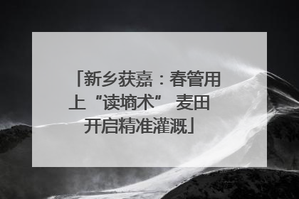 新乡获嘉：春管用上“读墒术” 麦田开启精准灌溉