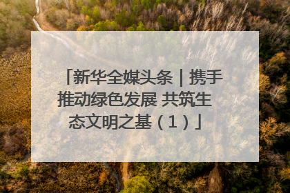 新华全媒头条｜携手推动绿色发展 共筑生态文明之基（1）