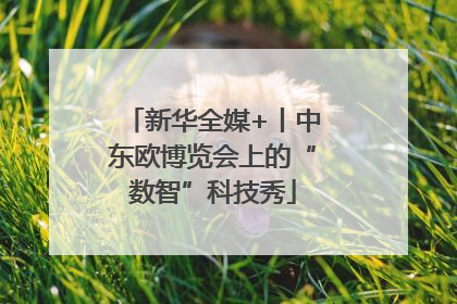 新华全媒+丨中东欧博览会上的“数智”科技秀