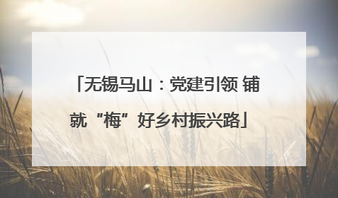 无锡马山：党建引领 铺就“梅”好乡村振兴路