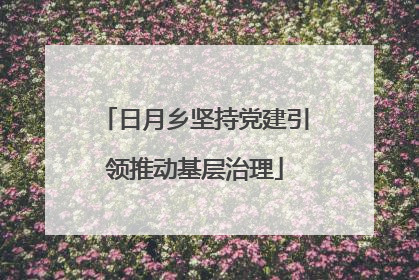 日月乡坚持党建引领推动基层治理