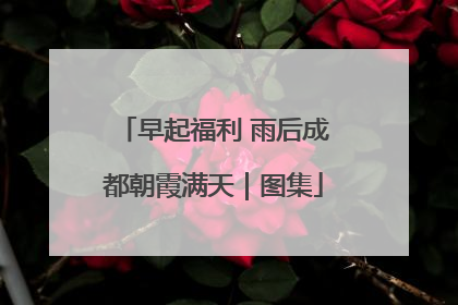 早起福利 雨后成都朝霞满天｜图集