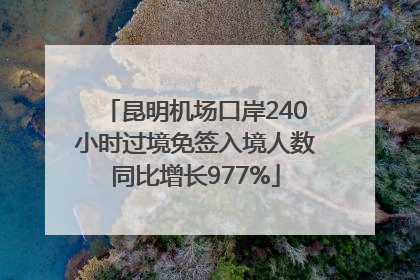 昆明机场口岸240小时过境免签入境人数同比增长977%