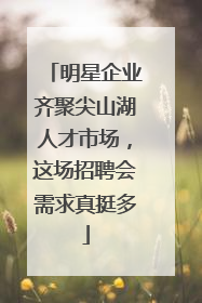 明星企业齐聚尖山湖人才市场，这场招聘会需求真挺多