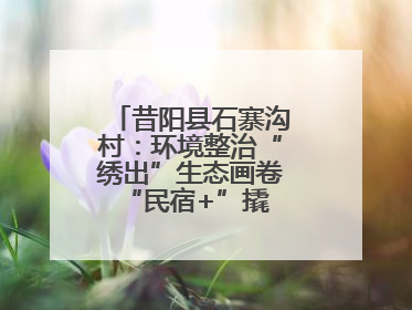 昔阳县石寨沟村：环境整治“绣出”生态画卷 “民宿+”撬动农文旅融合