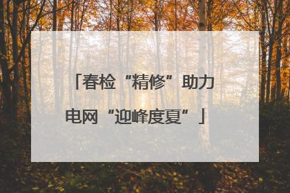 春检“精修”助力电网“迎峰度夏”