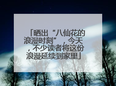晒出“八仙花的浪漫时刻”，今天，不少读者将这份浪漫延续到家里