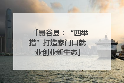 景谷县：“四举措”打造家门口就业创业新生态